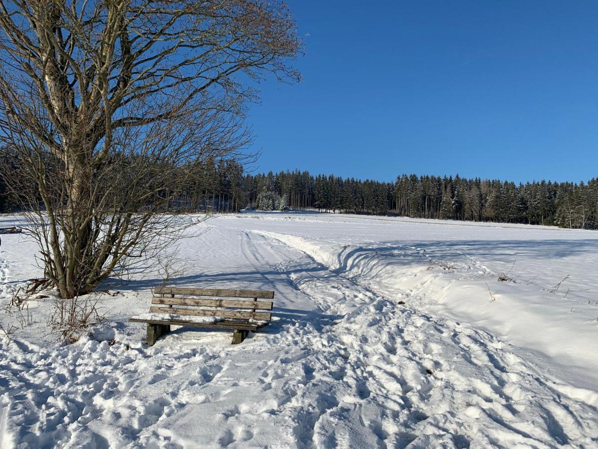 Tolle Ferienwohnung Mit Loggia In Schauenstein 100Qm Bei Hof An Der Saale Frankenwald Exteriör bild